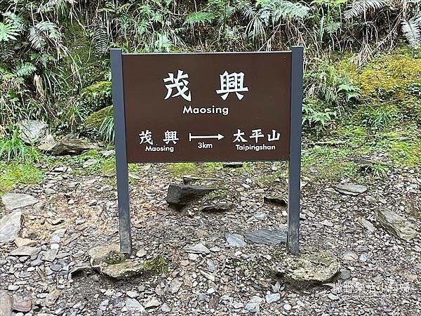 宜蘭》「太平山蹦蹦車+茂興懷舊步道」旅遊全攻略|教你如何美拍