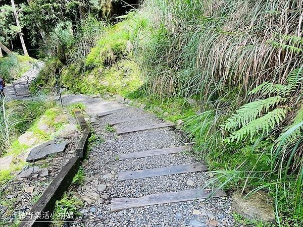 宜蘭》「太平山蹦蹦車+茂興懷舊步道」旅遊全攻略|教你如何美拍