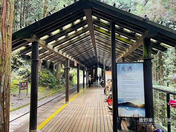 宜蘭》「太平山蹦蹦車+茂興懷舊步道」旅遊全攻略|教你如何美拍