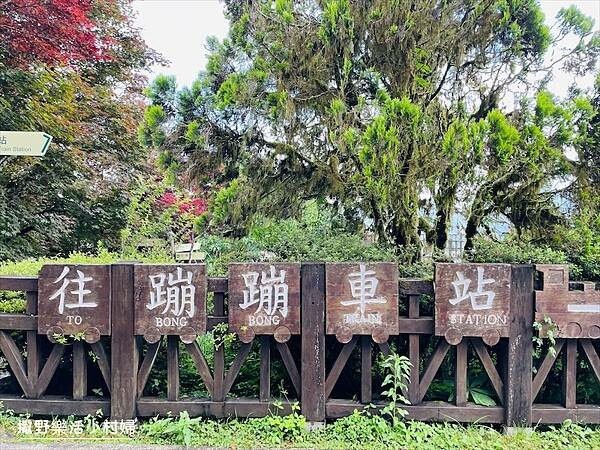 宜蘭》「太平山蹦蹦車+茂興懷舊步道」旅遊全攻略|教你如何美拍