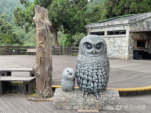 宜蘭》「太平山蹦蹦車+茂興懷舊步道」旅遊全攻略|教你如何美拍