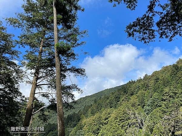 宜蘭》「太平山蹦蹦車+茂興懷舊步道」旅遊全攻略|教你如何美拍