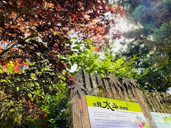 宜蘭》「太平山蹦蹦車+茂興懷舊步道」旅遊全攻略|教你如何美拍