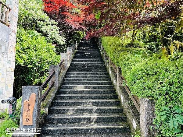 宜蘭》「太平山蹦蹦車+茂興懷舊步道」旅遊全攻略|教你如何美拍