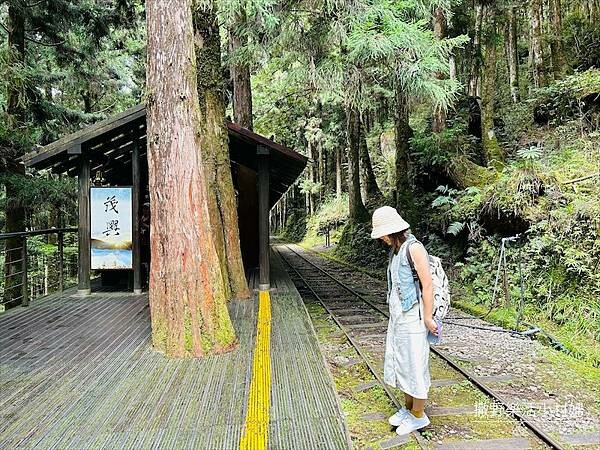宜蘭》「太平山蹦蹦車+茂興懷舊步道」旅遊全攻略|教你如何美拍