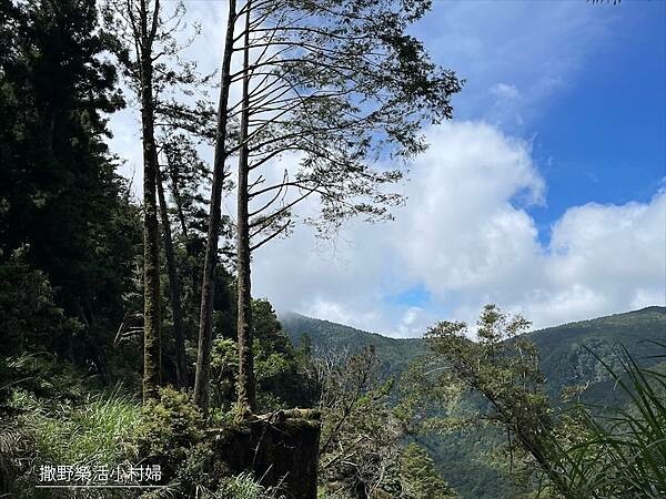 宜蘭》「太平山蹦蹦車+茂興懷舊步道」旅遊全攻略|教你如何美拍