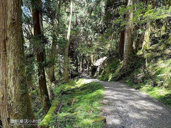 宜蘭》「太平山蹦蹦車+茂興懷舊步道」旅遊全攻略|教你如何美拍