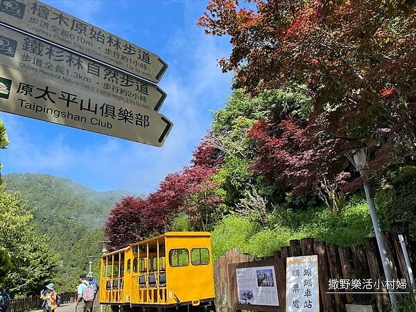 宜蘭》「太平山蹦蹦車+茂興懷舊步道」旅遊全攻略|教你如何美拍