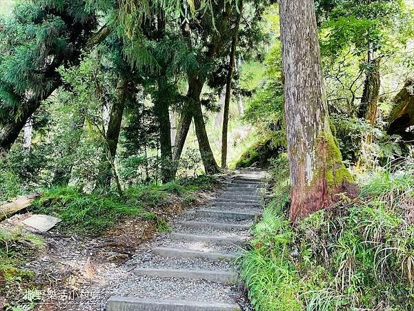 宜蘭》「太平山蹦蹦車+茂興懷舊步道」旅遊全攻略|教你如何美拍