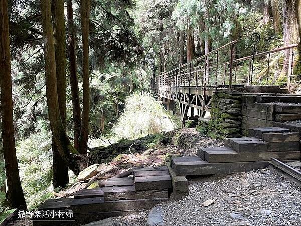 宜蘭》「太平山蹦蹦車+茂興懷舊步道」旅遊全攻略|教你如何美拍