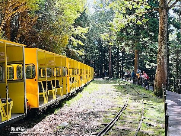 宜蘭》「太平山蹦蹦車+茂興懷舊步道」旅遊全攻略|教你如何美拍