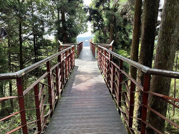 宜蘭》「太平山蹦蹦車+茂興懷舊步道」旅遊全攻略|教你如何美拍