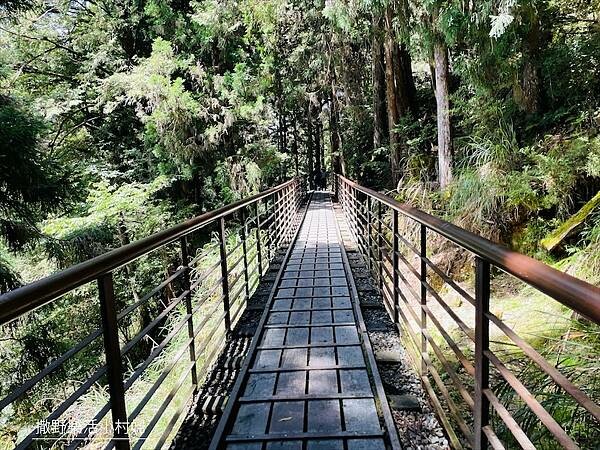 宜蘭》「太平山蹦蹦車+茂興懷舊步道」旅遊全攻略|教你如何美拍