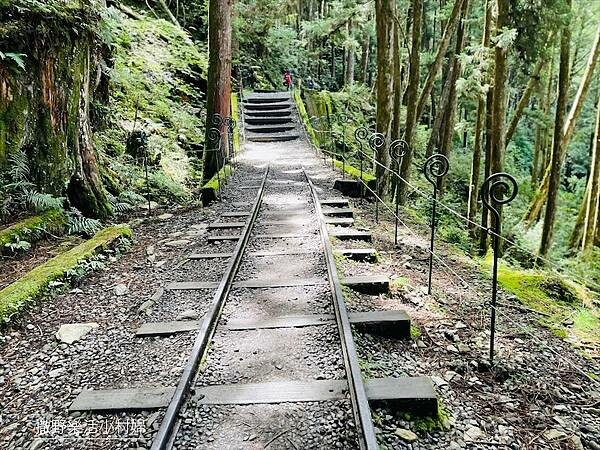 宜蘭》「太平山蹦蹦車+茂興懷舊步道」旅遊全攻略|教你如何美拍