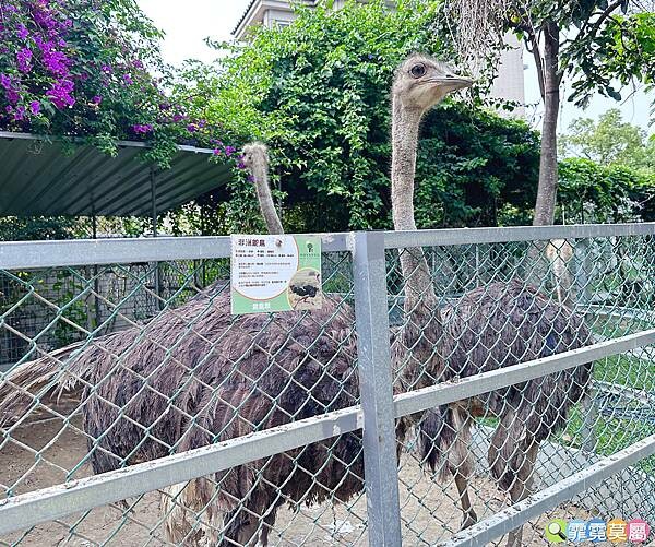 ★台中親子景點★ 赤腳ㄚ生態農莊，門票$150送$50抵用券