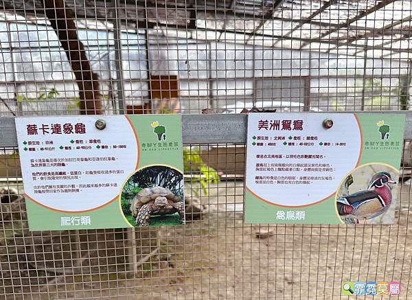 ★台中親子景點★ 赤腳ㄚ生態農莊，門票$150送$50抵用券