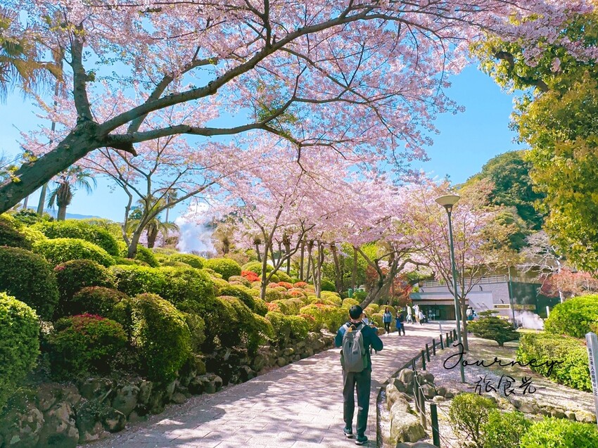 【日本．別府】搭渡輪70分鐘可以往來「四國」、「九州」超省時