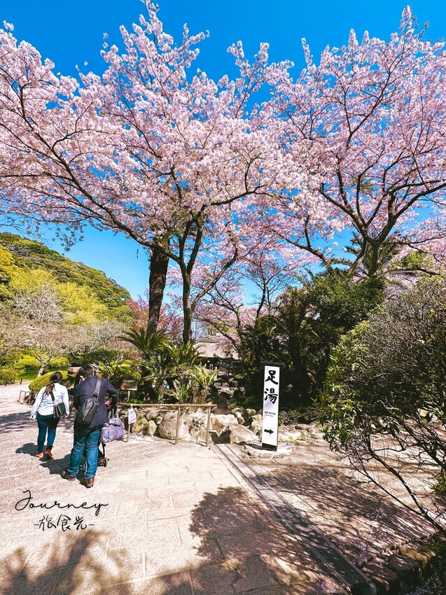 【日本．別府】搭渡輪70分鐘可以往來「四國」、「九州」超省時