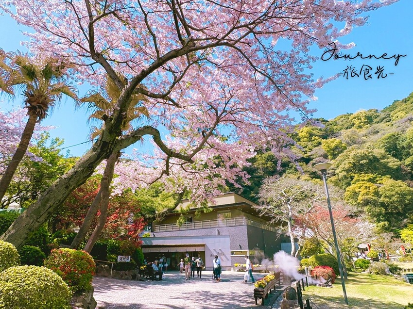 【日本．別府】搭渡輪70分鐘可以往來「四國」、「九州」超省時