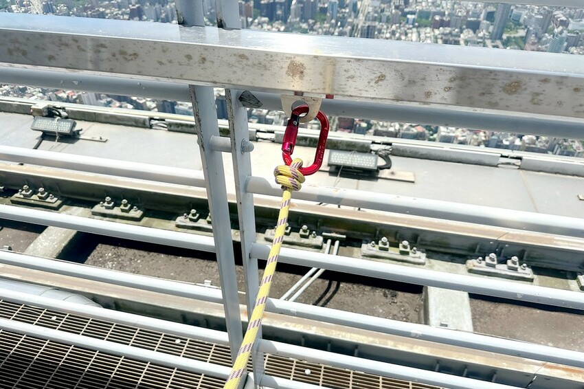 台北親子景點｜♥台北101F觀景台♥101F全新改裝,超夢幻雲端上的秘境花園、skyline天際線460、台北景點推薦