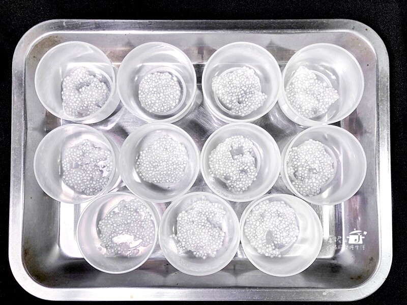 烘焙筆記│西米露奶酪,自己做的降糖風味吃完一杯再一杯