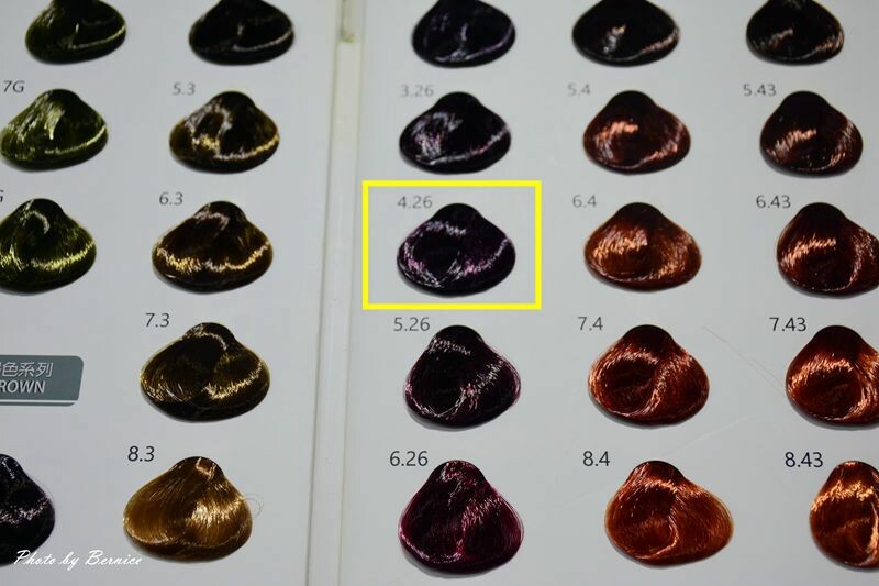 旭 Asahi hair space 內湖概念店~店貓陪你一起變靚麗帥氣 @Bernice的隨手筆記