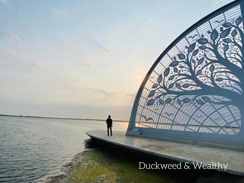 【台南將軍】青鯤鯓網美景點「生命之樹」|海上純白雙面扇形地景藝術|美拍取景角度介紹|