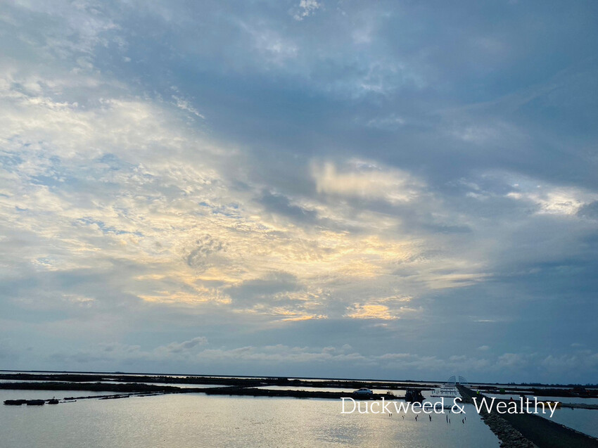 【台南將軍】青鯤鯓網美景點「生命之樹」|海上純白雙面扇形地景藝術|美拍取景角度介紹|