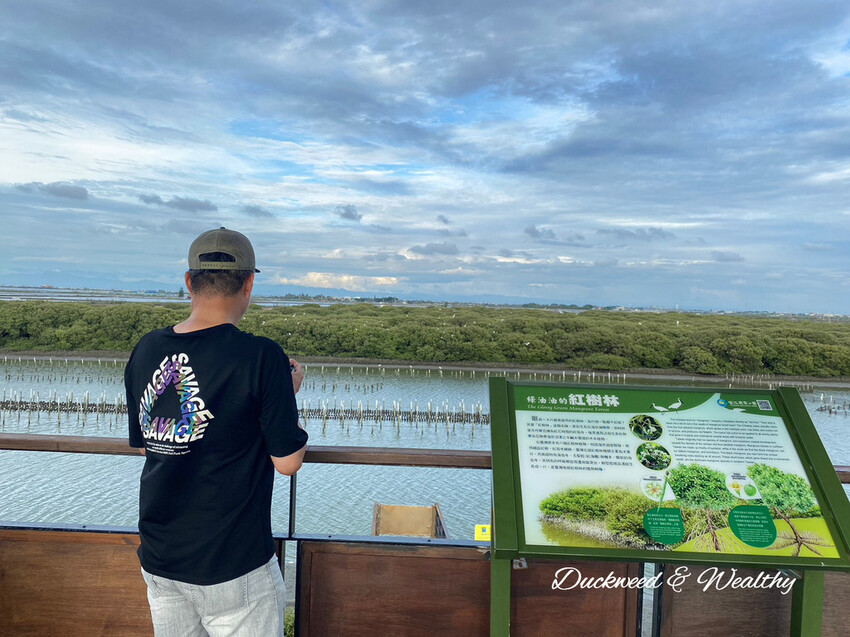 【台南景點】「七股紅樹林保護區」∣賞鳥、大啖海鮮美食來一趟濱海小旅行∣漫遊臺南濱海線∣