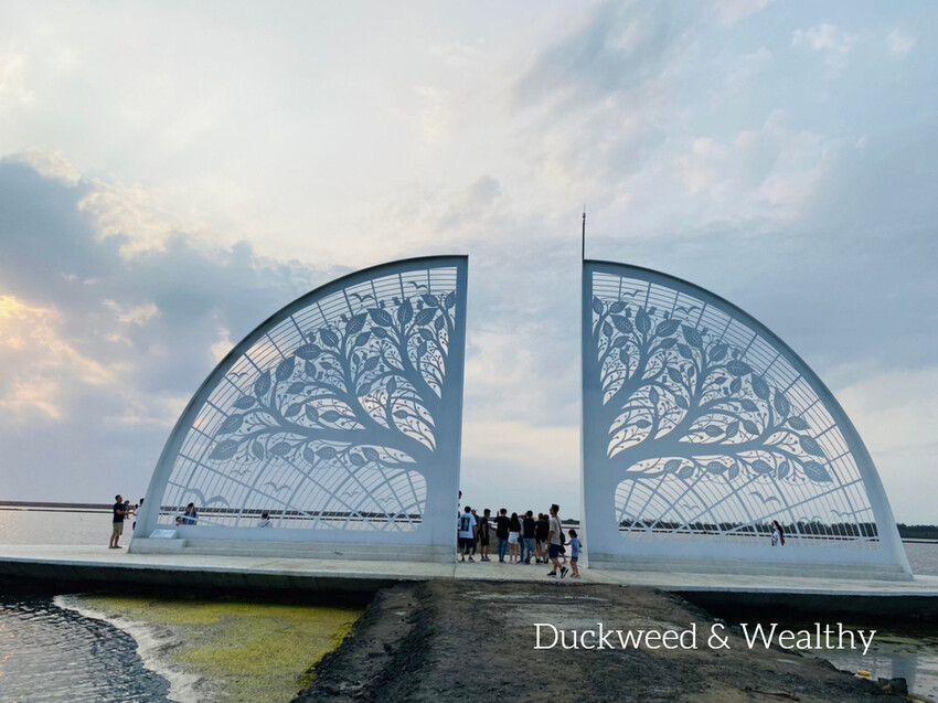 【台南將軍】青鯤鯓網美景點「生命之樹」|海上純白雙面扇形地景藝術|美拍取景角度介紹|