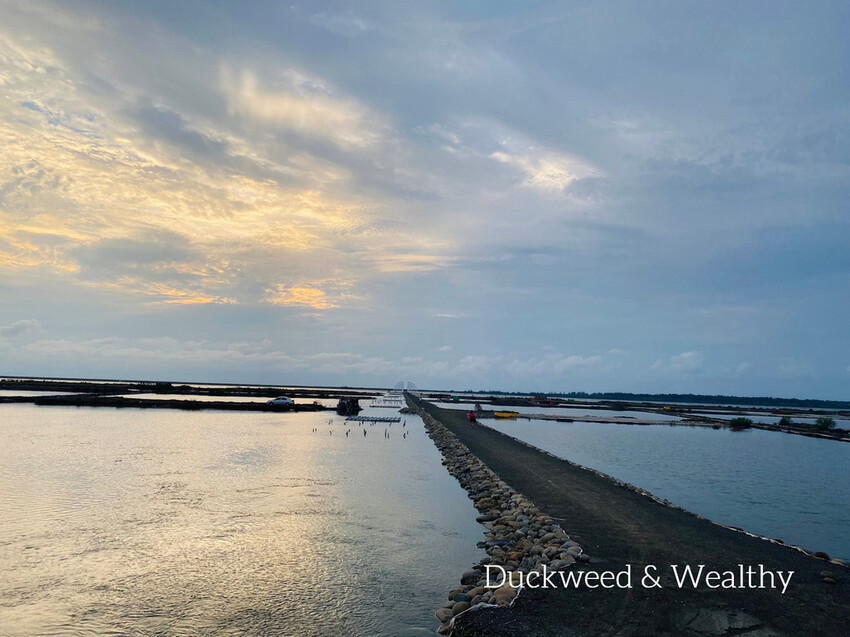 【台南將軍】青鯤鯓網美景點「生命之樹」|海上純白雙面扇形地景藝術|美拍取景角度介紹|