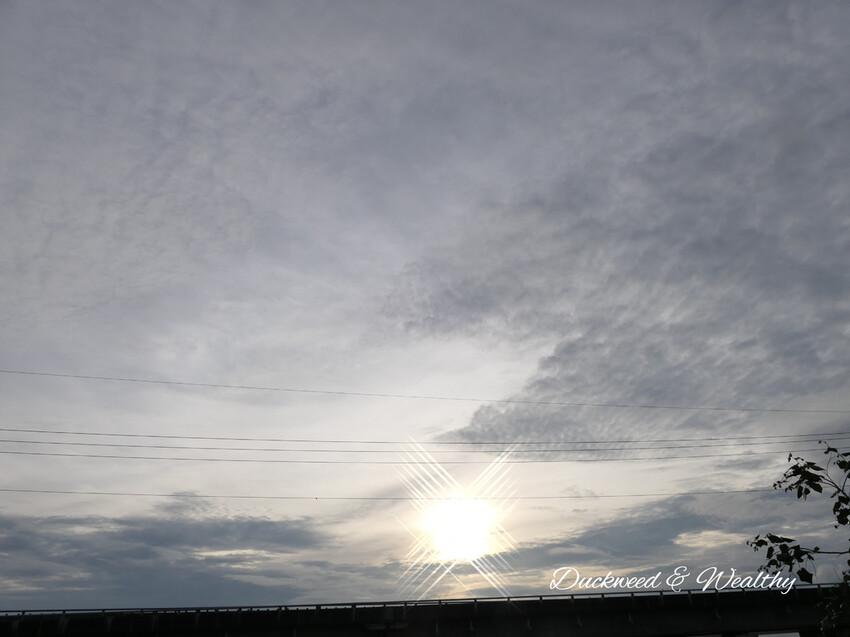 【台南景點】「七股紅樹林保護區」∣賞鳥、大啖海鮮美食來一趟濱海小旅行∣漫遊臺南濱海線∣