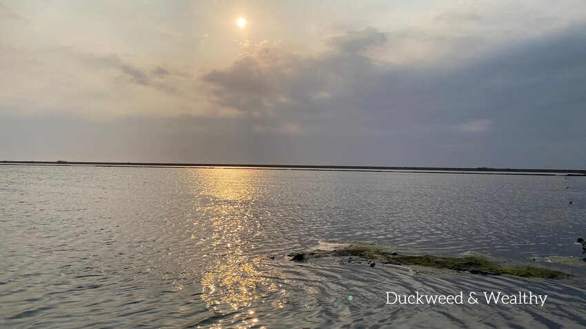 【台南將軍】青鯤鯓網美景點「生命之樹」|海上純白雙面扇形地景藝術|美拍取景角度介紹|