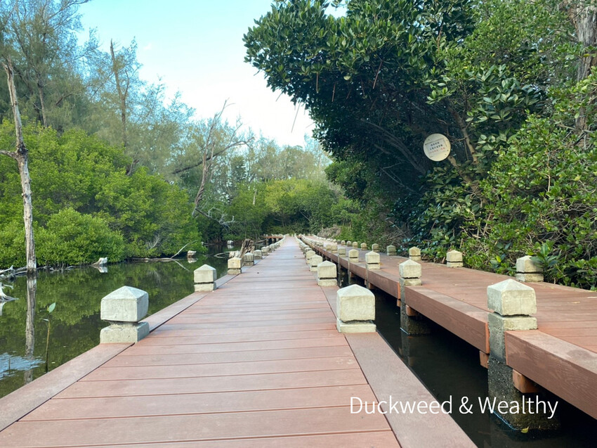 【台南北門景點】「雙春濱海遊憩區」質感景點推薦∣絕美紅樹林木棧步道∣湖邊風光沙灘踏浪∣所有享受一次滿足∣