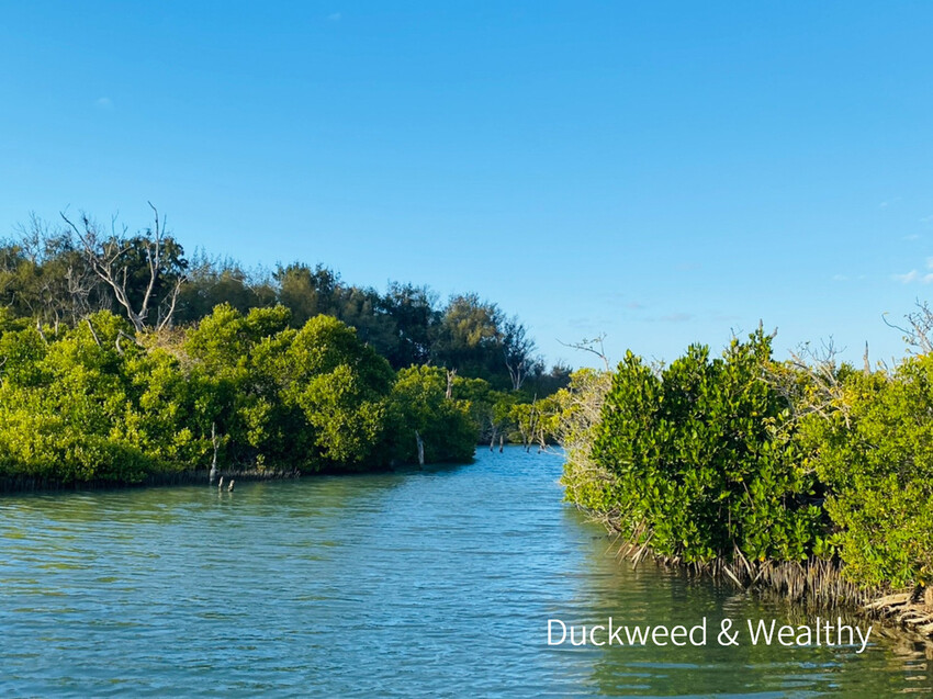【台南北門景點】「雙春濱海遊憩區」質感景點推薦∣絕美紅樹林木棧步道∣湖邊風光沙灘踏浪∣所有享受一次滿足∣