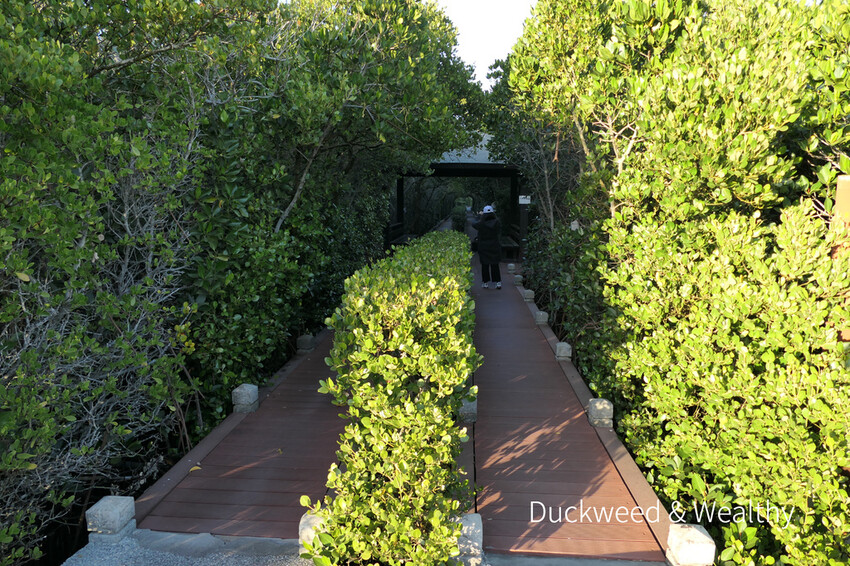 【台南北門景點】「雙春濱海遊憩區」質感景點推薦∣絕美紅樹林木棧步道∣湖邊風光沙灘踏浪∣所有享受一次滿足∣