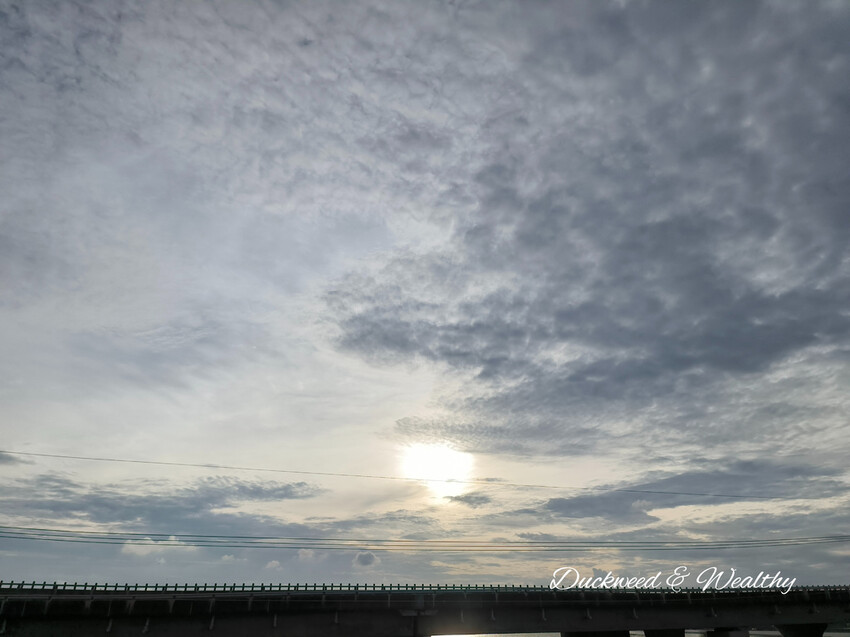 【台南景點】「七股紅樹林保護區」∣賞鳥、大啖海鮮美食來一趟濱海小旅行∣漫遊臺南濱海線∣