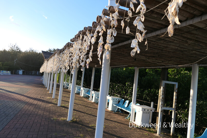 【台南北門景點】「雙春濱海遊憩區」質感景點推薦∣絕美紅樹林木棧步道∣湖邊風光沙灘踏浪∣所有享受一次滿足∣