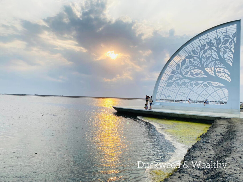 【台南將軍】青鯤鯓網美景點「生命之樹」|海上純白雙面扇形地景藝術|美拍取景角度介紹|