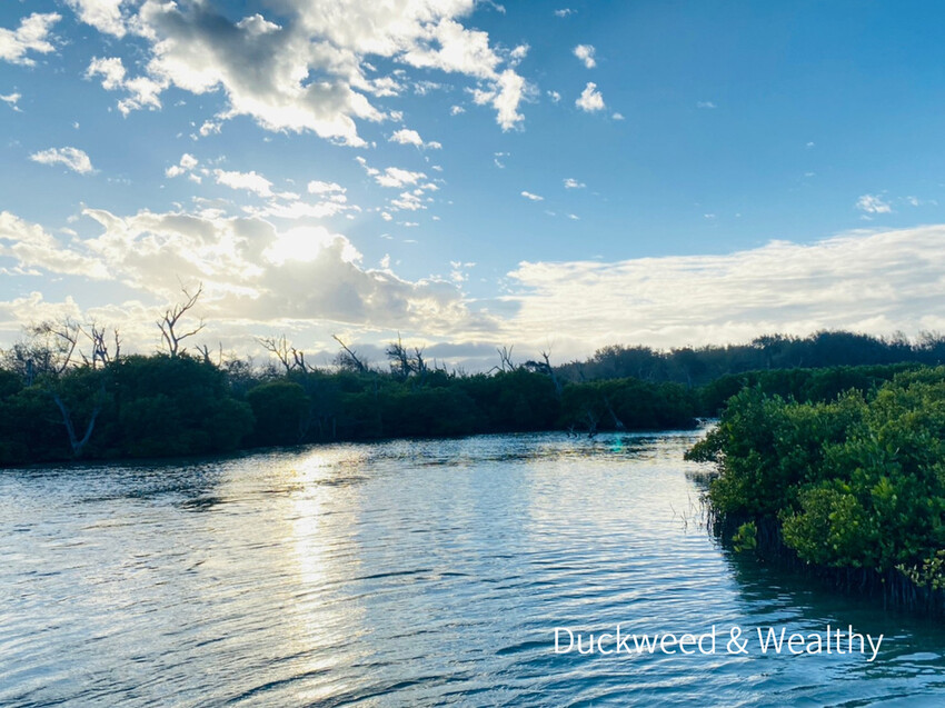 【台南北門景點】「雙春濱海遊憩區」質感景點推薦∣絕美紅樹林木棧步道∣湖邊風光沙灘踏浪∣所有享受一次滿足∣