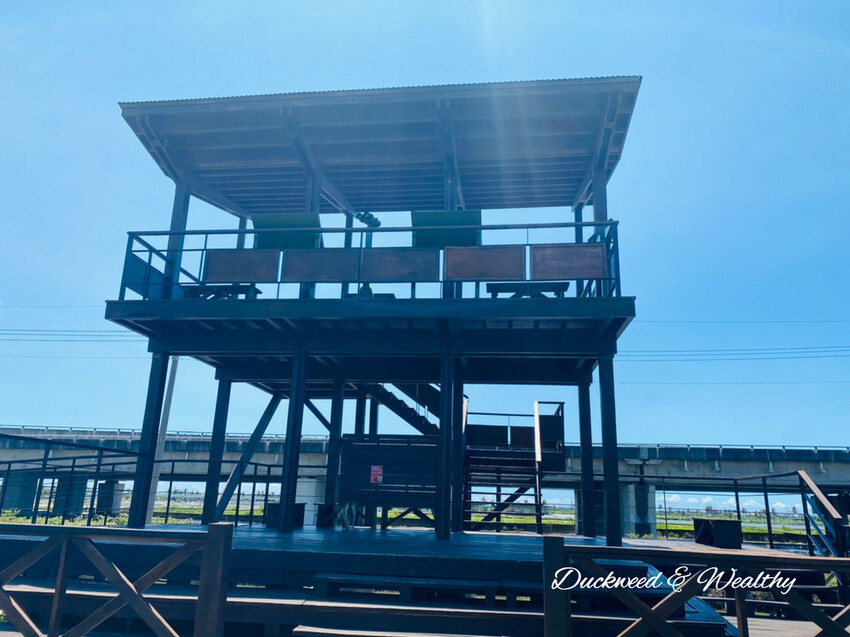 【台南景點】「七股紅樹林保護區」∣賞鳥、大啖海鮮美食來一趟濱海小旅行∣漫遊臺南濱海線∣