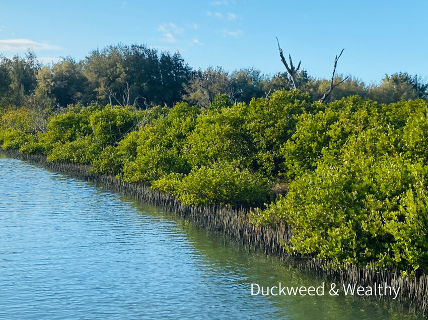 【台南北門景點】「雙春濱海遊憩區」質感景點推薦∣絕美紅樹林木棧步道∣湖邊風光沙灘踏浪∣所有享受一次滿足∣