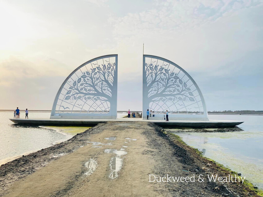 【台南將軍】青鯤鯓網美景點「生命之樹」|海上純白雙面扇形地景藝術|美拍取景角度介紹|