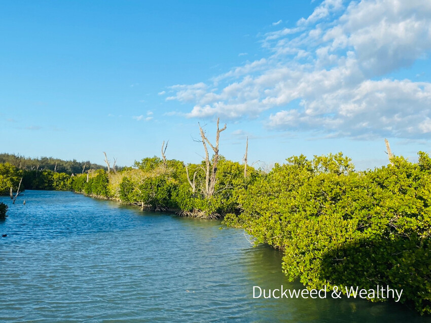 【台南北門景點】「雙春濱海遊憩區」質感景點推薦∣絕美紅樹林木棧步道∣湖邊風光沙灘踏浪∣所有享受一次滿足∣
