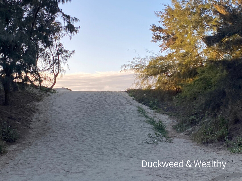 【台南北門景點】「雙春濱海遊憩區」質感景點推薦∣絕美紅樹林木棧步道∣湖邊風光沙灘踏浪∣所有享受一次滿足∣