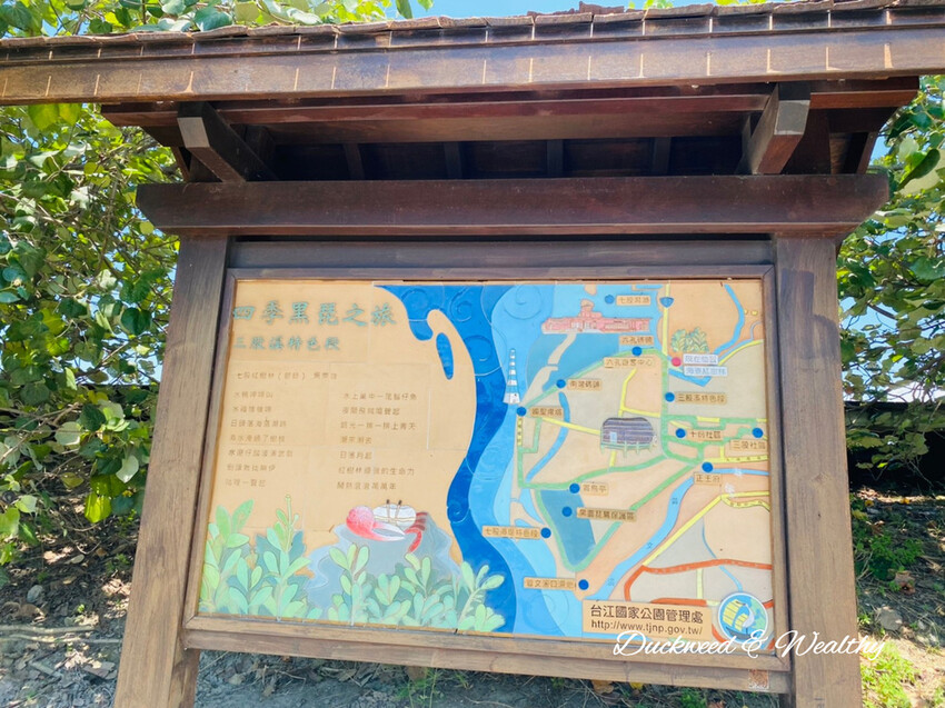 【台南景點】「七股紅樹林保護區」∣賞鳥、大啖海鮮美食來一趟濱海小旅行∣漫遊臺南濱海線∣