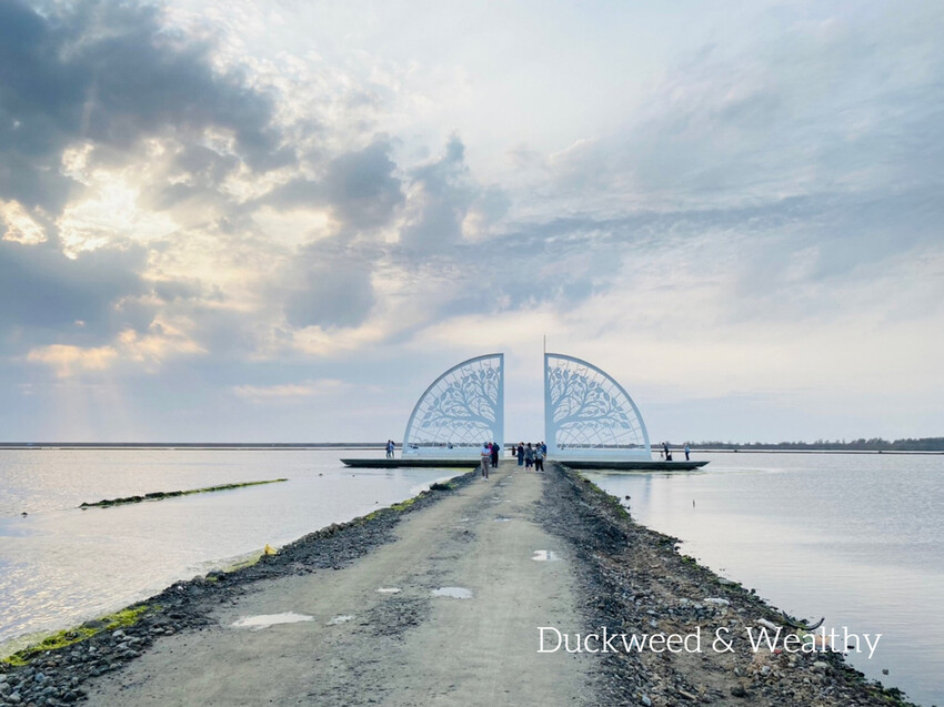 【台南將軍】青鯤鯓網美景點「生命之樹」|海上純白雙面扇形地景藝術|美拍取景角度介紹|