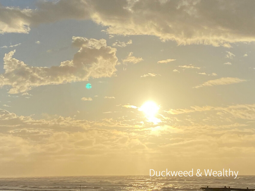 【台南北門景點】「雙春濱海遊憩區」質感景點推薦∣絕美紅樹林木棧步道∣湖邊風光沙灘踏浪∣所有享受一次滿足∣