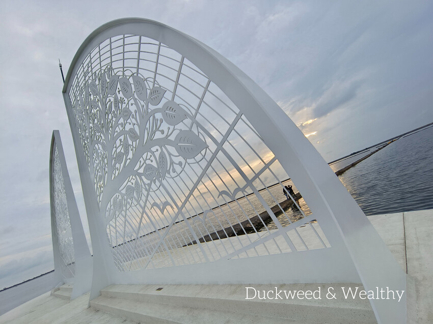 【台南將軍】青鯤鯓網美景點「生命之樹」|海上純白雙面扇形地景藝術|美拍取景角度介紹|