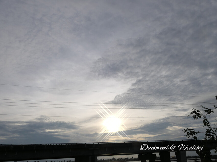 【台南景點】「七股紅樹林保護區」∣賞鳥、大啖海鮮美食來一趟濱海小旅行∣漫遊臺南濱海線∣